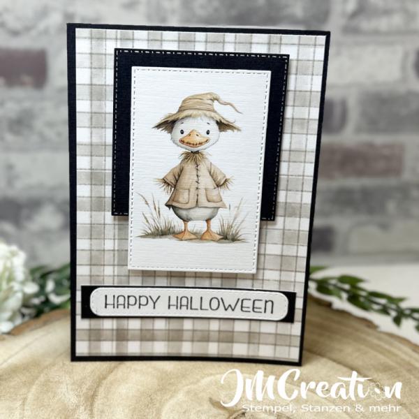 Gänse Kärtchen - Serie Gänseglück - Designpapier